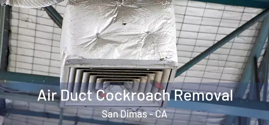  Air Duct Cockroach Removal San Dimas - CA