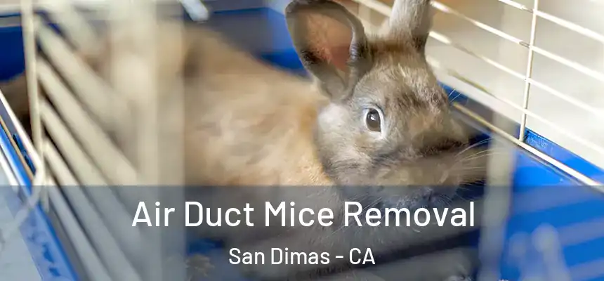 Air Duct Mice Removal San Dimas - CA