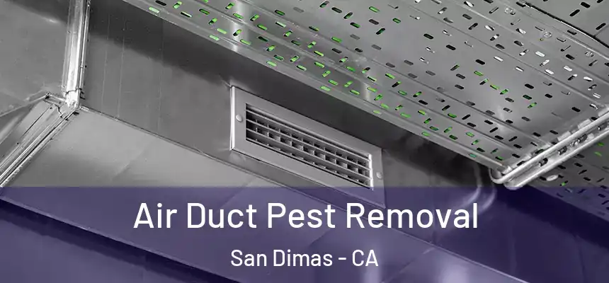 Air Duct Pest Removal San Dimas - CA