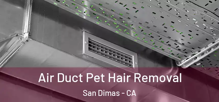 Air Duct Pet Hair Removal San Dimas - CA