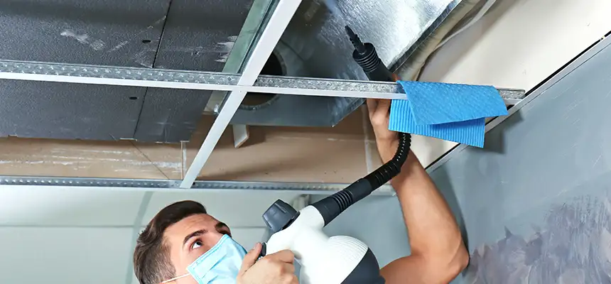 Our Air Duct Rodent Removal Services in San Dimas, CA