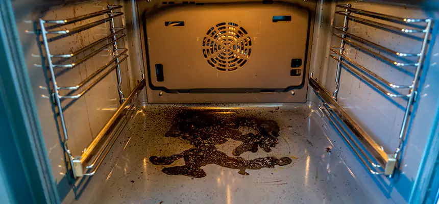 Our Dryer Vent Mold Cleaning Services in San Dimas, CA