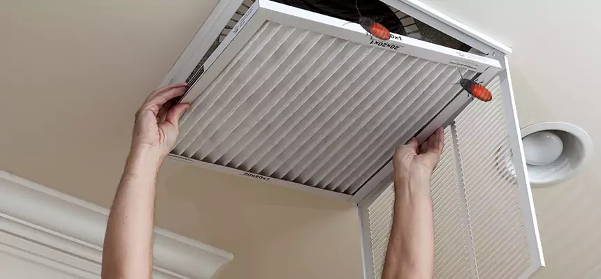Our Insect Removal from Air Ducts Services in San Dimas, CA