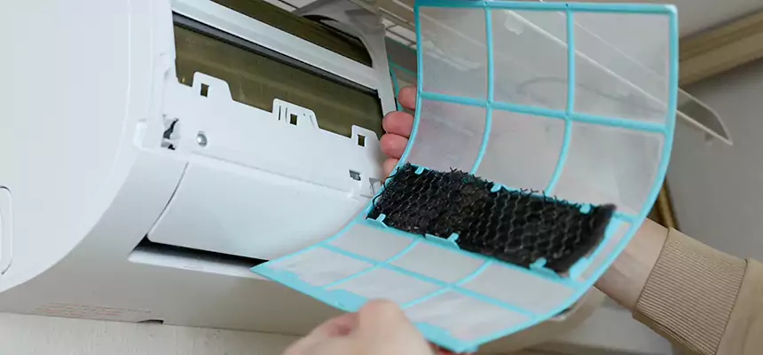 Gentle Ductwork Odor-Control Pet Dander Duct Cleaning in San Dimas, CA