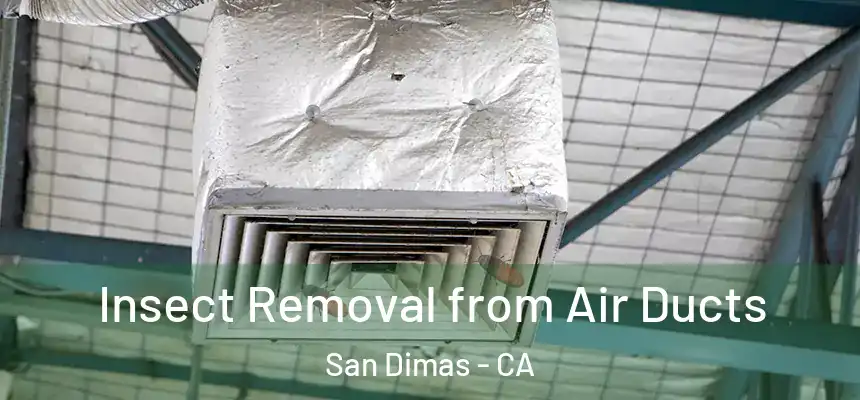  Insect Removal from Air Ducts San Dimas - CA