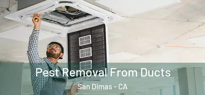  Pest Removal From Ducts San Dimas - CA