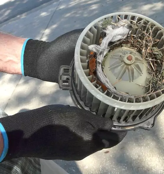 About Air Duct Rat Removal in San Dimas, CA