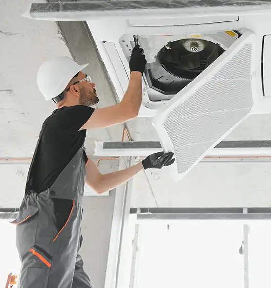 About Air Duct Rodent Removal in San Dimas, CA