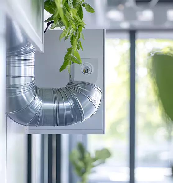 Professional Eco-Friendly Duct Cleaning Services in San Dimas, CA