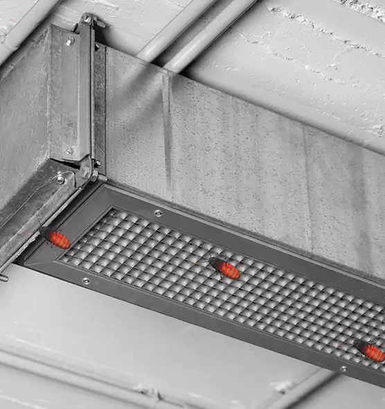 Affordable Insect Removal from Air Ducts in San Dimas, CA