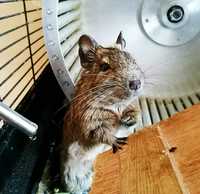 Why Homeowners & Businesses Trust Us San Dimas, CA