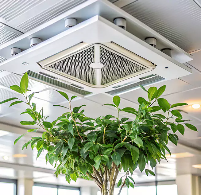 Why Homeowners & Businesses Trust Us in San Dimas, CA?